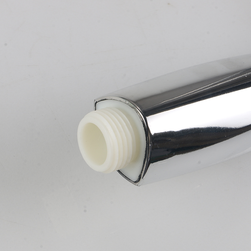 Душевая насадка Даханс